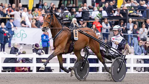 Velvet Gold rattaillaan Iikka Nurmonen