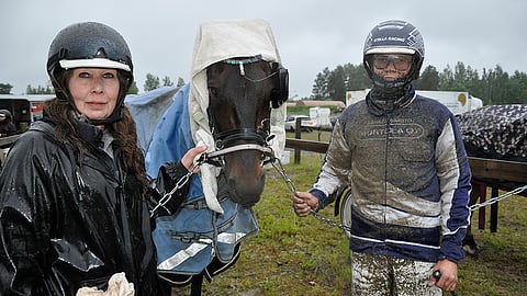 Sateinen ilta Härmässä vaati monenlaisia virityksiä. Mack Comeback ei siedä vettä korvissa, joten sadeloimien lisäksi pyyhkeille oli käyttöä. Hoitaja Sari Palomäki ja ohjastaja Eelis Murtola olivat ruunan seurana.