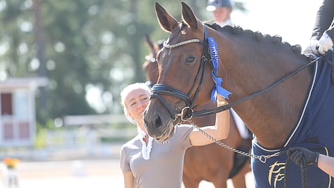 Stella Hagelstam ja Hagels Rosophia ovat tänä viikonloppuna Verdenin MM:Issä. 