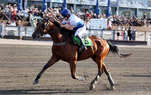 Raviratsastusta Vermossa.