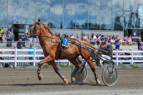Mikko S. Laitinen marssittaa Himman Caarlen Nikulan ikäluokkafinaaliin.