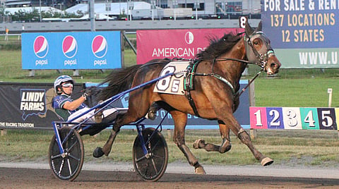 USA ravit