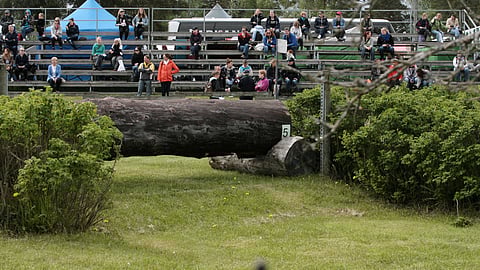 Kilpailu järjestettiin Minderhoutissa, Belgiassa.