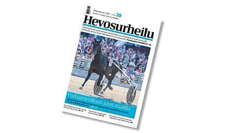 St Micheliä ennakoivan lehden kansikuvahevosena Crown.