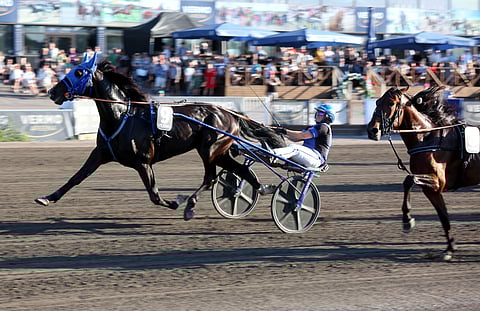 Ravuri ja raviohjastaja.