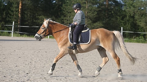 Viikottainen ratsastuskerta sujuu entisen ratsastuksenopettajan rutiinilla. 