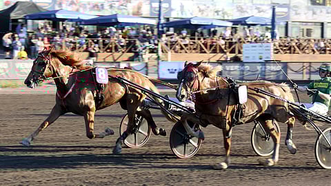 Jockas Rita (8) ja Runoneito