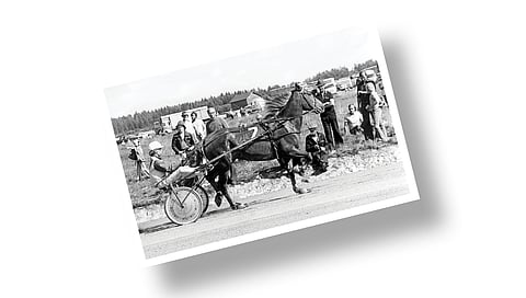 Kuva-arvoitus: Tunnistatko kuvan parivaljakon?