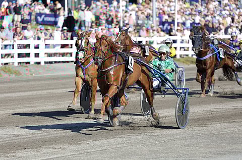 V.G. Voitto tuleemaaliin lopulta ylhäisessä yksinäisyydessään, kun Stallone laukkaa tuntumasta.