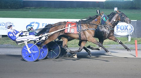 Ravit Meadowlands