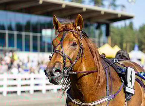V.G. Voitto lähtee matkaan radalta neljä.