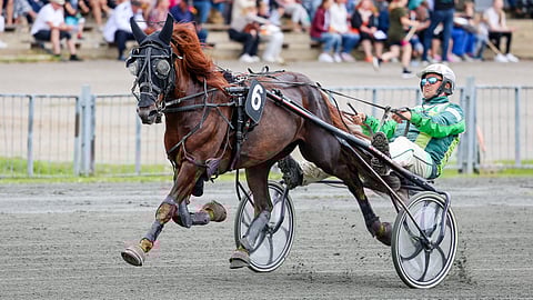 Virin Urho ja Markus Porokka