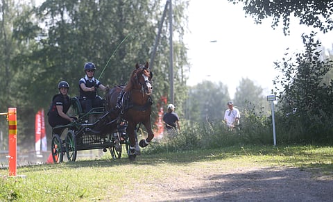 Paletin Liekille on tarjolla SM-kisa ponivaljakoissa. 