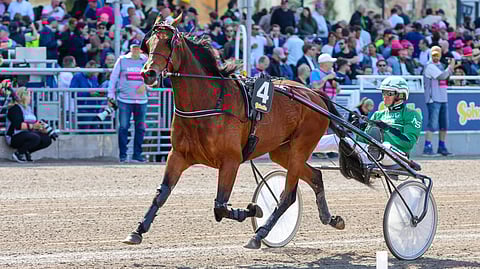 Ballerina Indika ja Åke Svanstedt