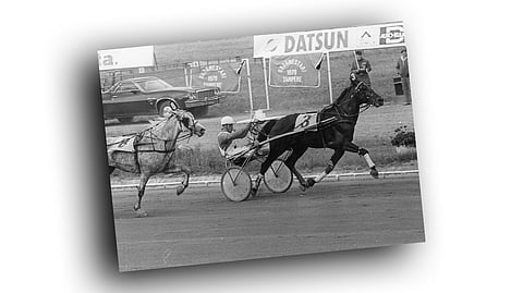 Kuva-arvoitus – tunnistatko kuvan hevosen ja ihmisen?