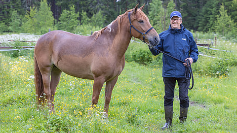 8-vuotiasta tammaa Varjosia valmentaa entinen europarlamentaarikko Samuli Pohjamo, jonka elämään hevoset ovat kuuluneet aina.