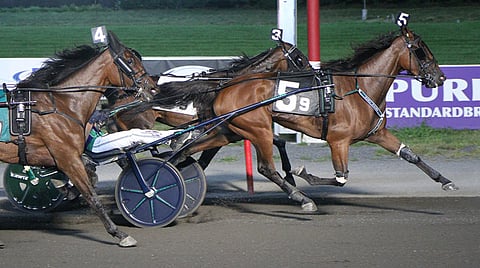 Miss Belmar ravaa voittoon