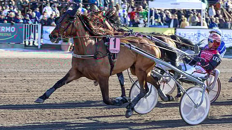 Effronte Photo, Santtu Raitala