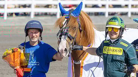 Pasi Teini, Hannu Torvinen, Kukkarosuon Kurko