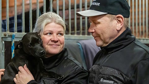 Rinna Tammimetsä, Jyrki Tammimetsä ja Luka-koira viihtyyvät tallilla.