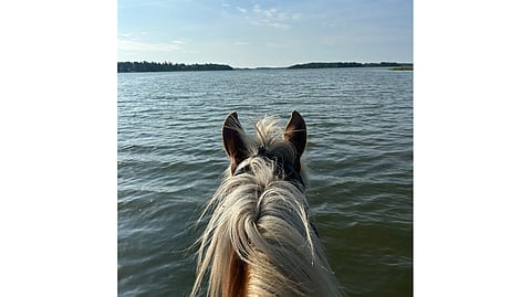 Kaisa Toivonen ratsastaa Villieläimellä paljon merenrannassa.