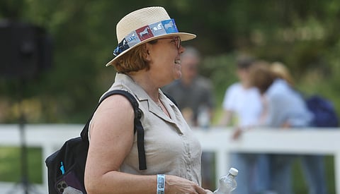 Maria "Mascha" Collianderin mielestä Pohjola-sarja on mietittävä perusteellisesti uudelleen. 