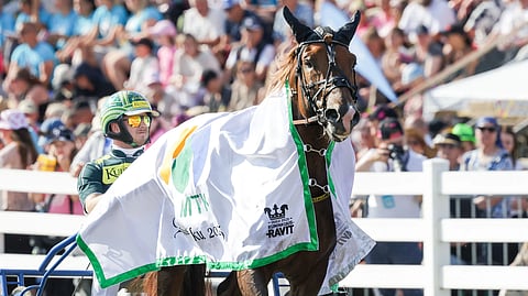 Weikko ja Hannu Torvinen.