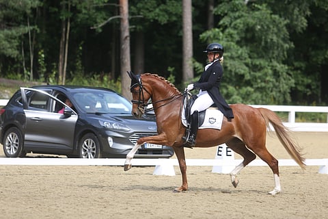 Liikkeessä löytyy. 