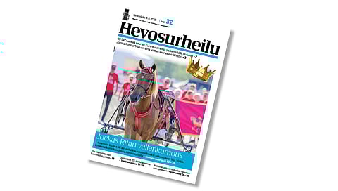 Ravikuningatar Jockas Rita on Hevosurheilun kansikuvahevonen.