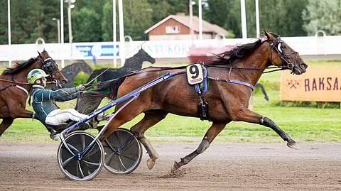 EL Indeed ja Hannu Torvinen