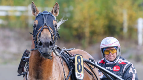 Laurilan Valos on Jussi Suomisen tallin uusin vahvistus.