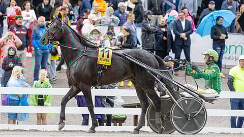 Atupem, Jukka Torvinen