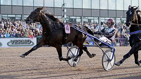Venice haki kovan avauksen jälkeen ensin johtopaikan Derbyssä vuonna 2013. Maalin se saapui toisena.