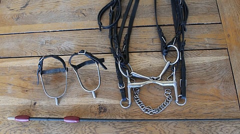 Teräväinen määrittelee tehosteavuiksi ääniavut, raipan ja kannukset, mutta ottaa mukaan myös erilaiset kuolaimet. 