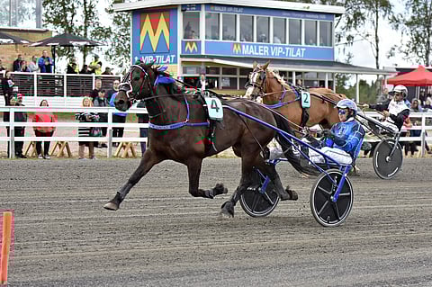 Ole Johan Östren ohjastama Stumne Fyr uusi tittelinsä Ruunaruhtinas-kilpailussa 2025.
