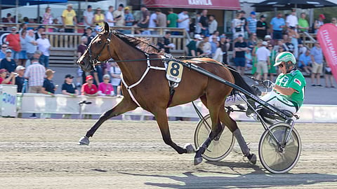 Emiliana, Ari Moilanen