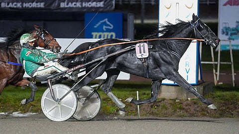 Consalvo on voittanut urallaan St. Legerin kahdesti. Tässä voitoista jälkimmäinen, kun lähtö ajettiin poikkeuksellisesti Teivon raviradalla.