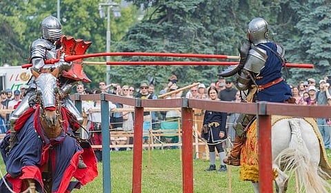 Suomenhevonen käy kaikkeen. 