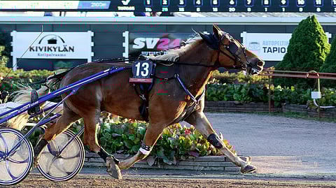 Uhmapeli kuului Porin keskiviikkoillan voittajiin.