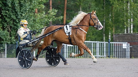 Uskotoivo sijoittui Derby-karsinnassaan kolmanneksi.