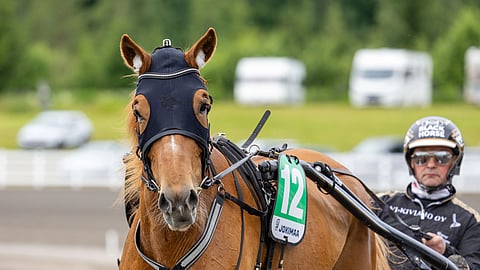 Lumi-Oosa palaa muutaman viikon paussilta.
