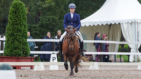 "Voisin kuvitella, että jos tämän ruunaisi, tämä olisi jokaisen ratsikoulutytön unelma", ratsastaja Sanna Kujala kuvaa Tintin Muskottia.