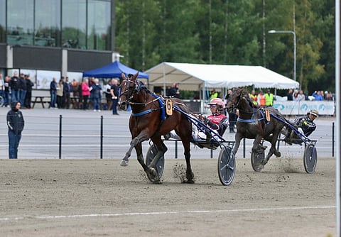 Viens Ici kirii keskeltä rataa Santtu Raitala kyydissään ylivertaista vauhtia ykköseksi.