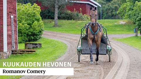 Romanov Comery treenaa perinteikkäässä hämäläismaisemassa.