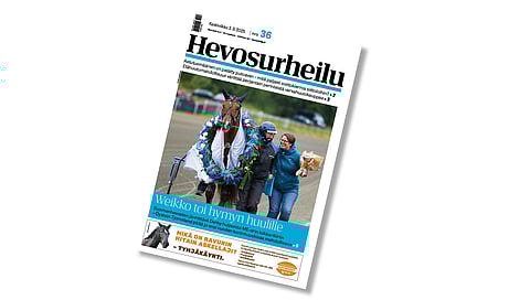 Hevosurheilun kansikuvahevosena on Derbyn voittanut Weikko.