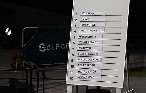 Kuvassa lämminveristen Kriterium-finaalin lähtöradat.