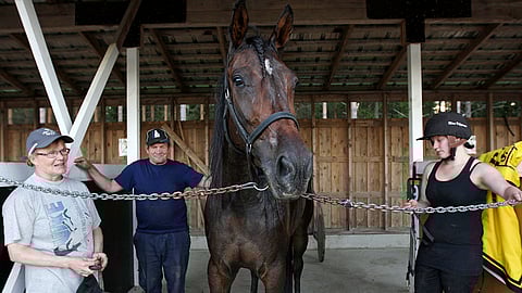 Elli ja Pertti Nevalainen raveissa Ride Elisan kanssa viime vuosikymmenellä.