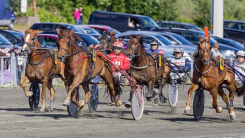 Rautianna on Sorsasalon tammalähdön avainhevonen. Kuopiossa ravataan vain suomenhevosille rajattuja lähtöjä.