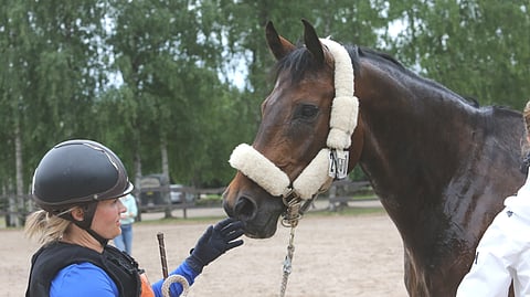 Lucas Stone ei ole enää Suomessa. 