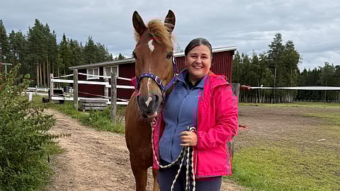 Kivimetsän Tähti mutkaton ja tarmokas suomenhevonen, jonka kanssa tulee hyvälle tuulelle.